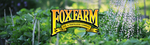 fox farm nutrients soil fertilizer house plant food indoor potted plants houseplant