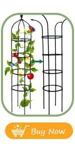 trellis