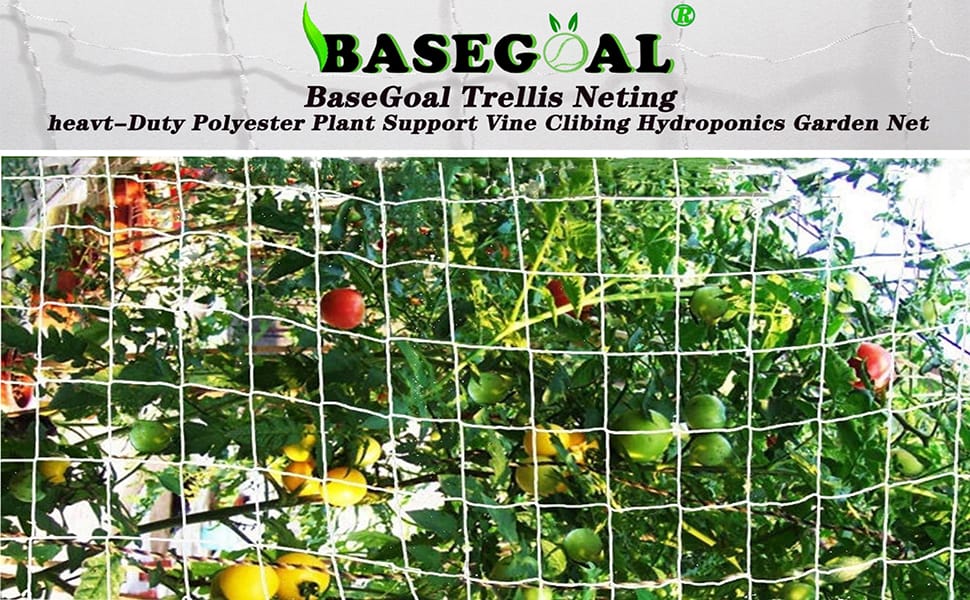 Trellis Netting