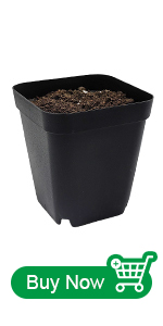 GGSP-10CM-60RED