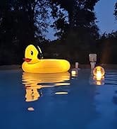 Duck Pool Float