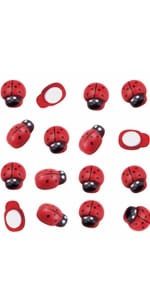 ladybug