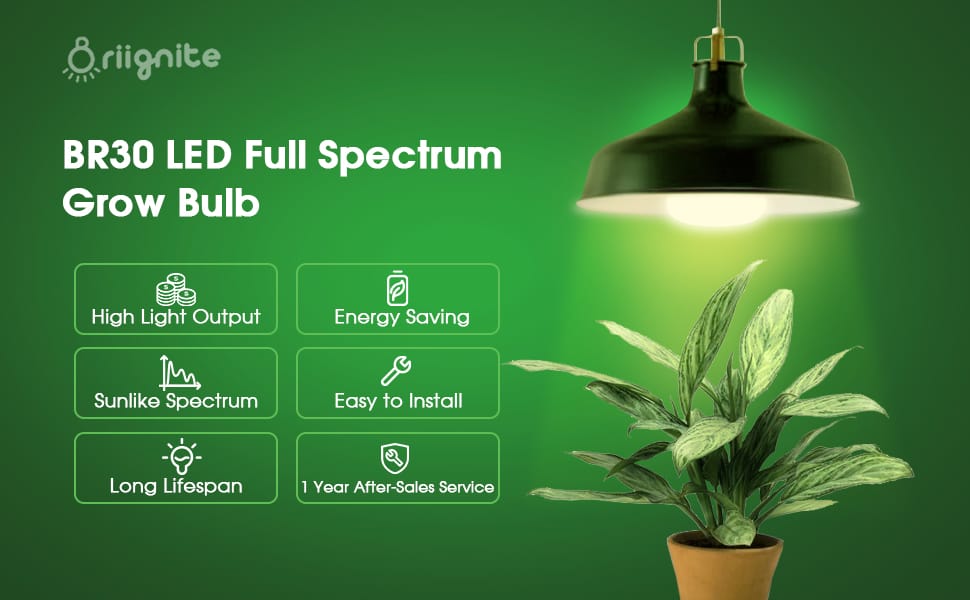 grow light bulbs