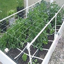 Trellis Netting