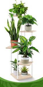 plant stand