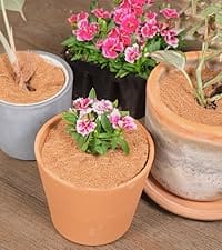 Weed control disc plant cover coco fiber plant protection mat tree ring coconut husk