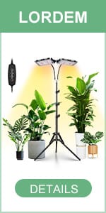 dual head grow light