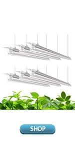 LED GROW LIGHTS FOR INDOOR PLANTS 5000K