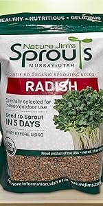 wheat grass cat grass radish clover spring mix mixed sprouting sprouts