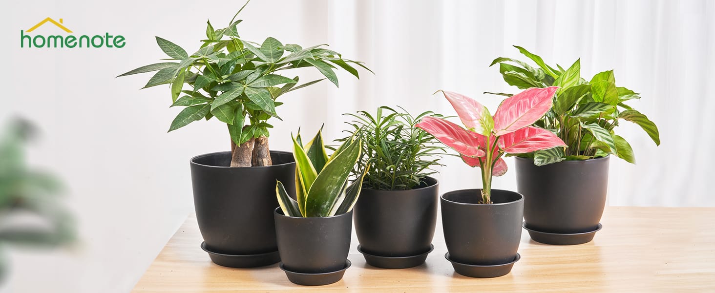 Plastic Planter