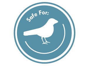 Safe for birds