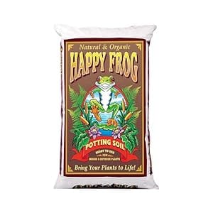 happy frog