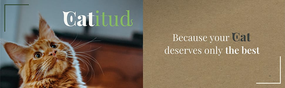Header: Catitud, because your cat deserves only the best