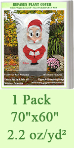 plant cover