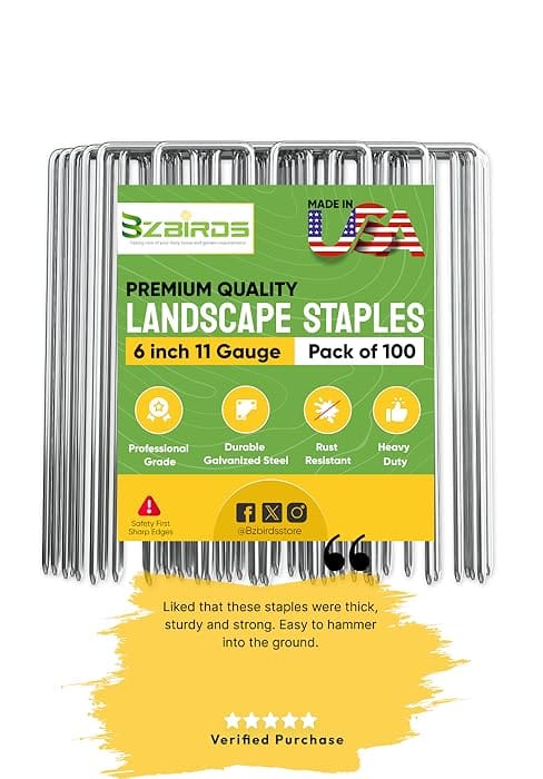 Steel Staple