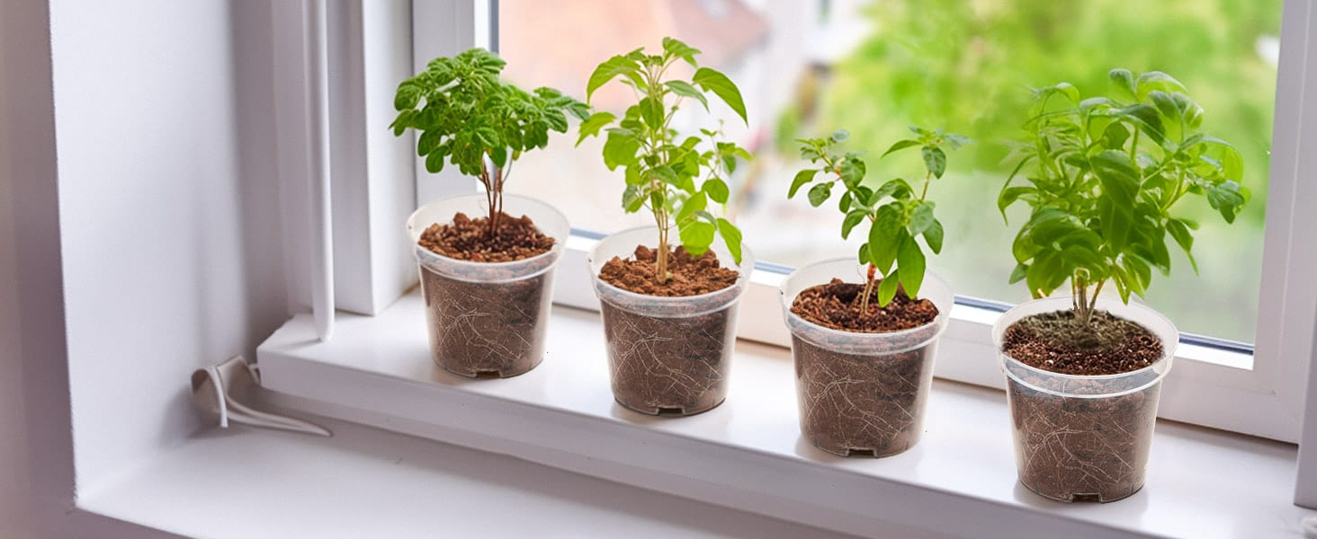 Clear Nursery Pots