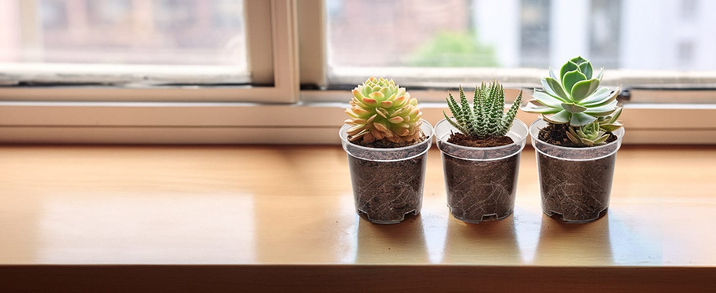 Clear Nursery Pots