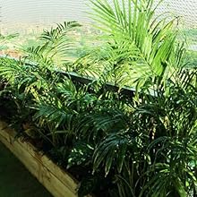 garden neeting