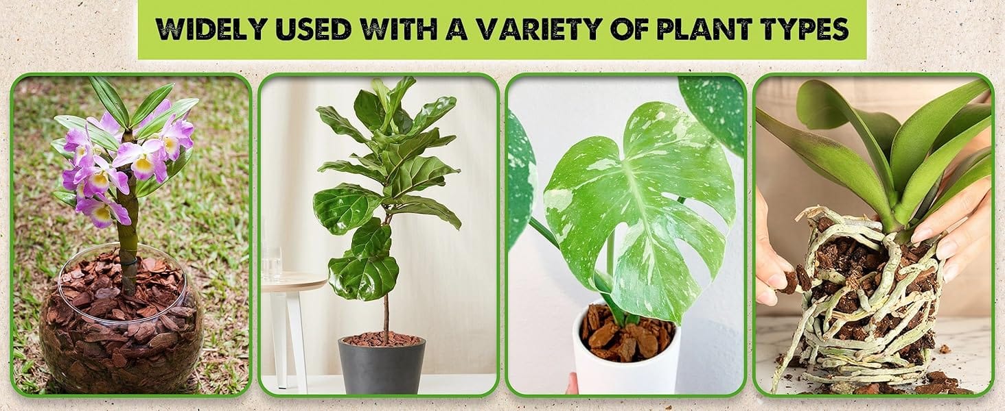 orchid potting mix for repotting