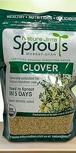 clover sprout sprouts sprouting wheat garss catgrass cat mixed broccoli