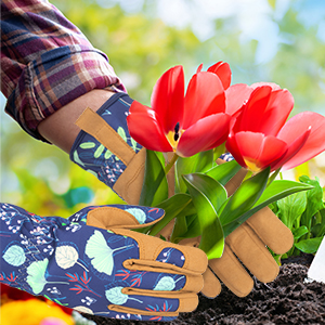 Ideal Garden Gift
