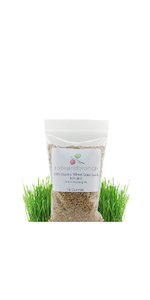 Cat Grass Seeds 16 oz