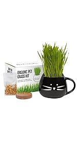 Cat Planter Mug (Black)