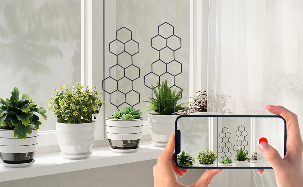 plant trellis