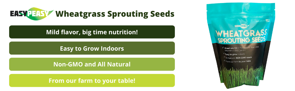 Wheatgrass is easy to grow indoors and is non-GMO and all natural source of vitamins and nutrients.