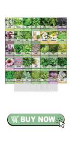 Herb seeds for planting variety pack herbs parsley herb garden kit oregano basil coriander cilantro