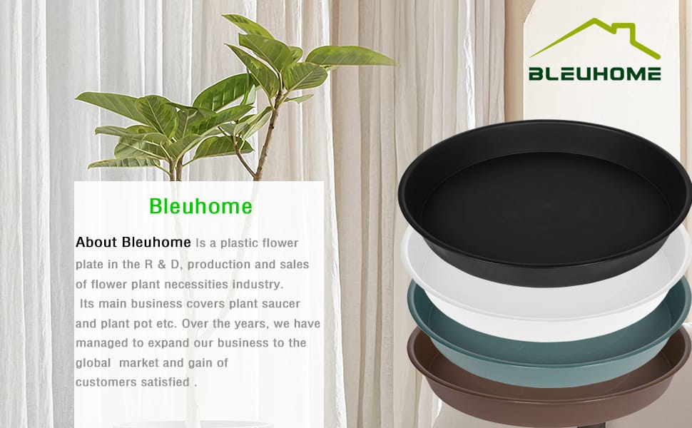plant saucer