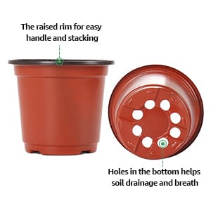 Holes in the bottom helps solil drainage and breath