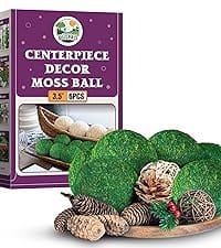decorative balls