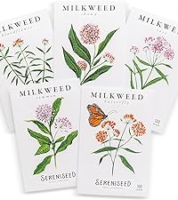 Sereniseed Milkweed Seed Variety Collection Pack