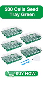 seed starter tray