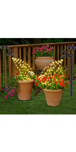 solar fairy lights