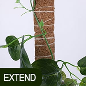 coir pole