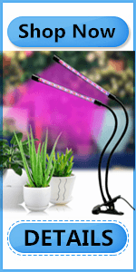 plant growth light