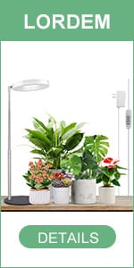 Desk Halo Grow Light (Plus)