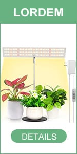 Desk Grow Light
