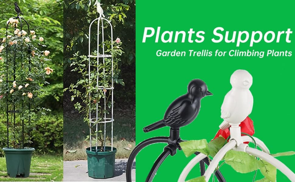 PLANTS SUPPORT