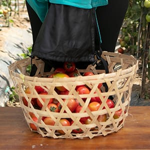 Drawstring internal pouch in action