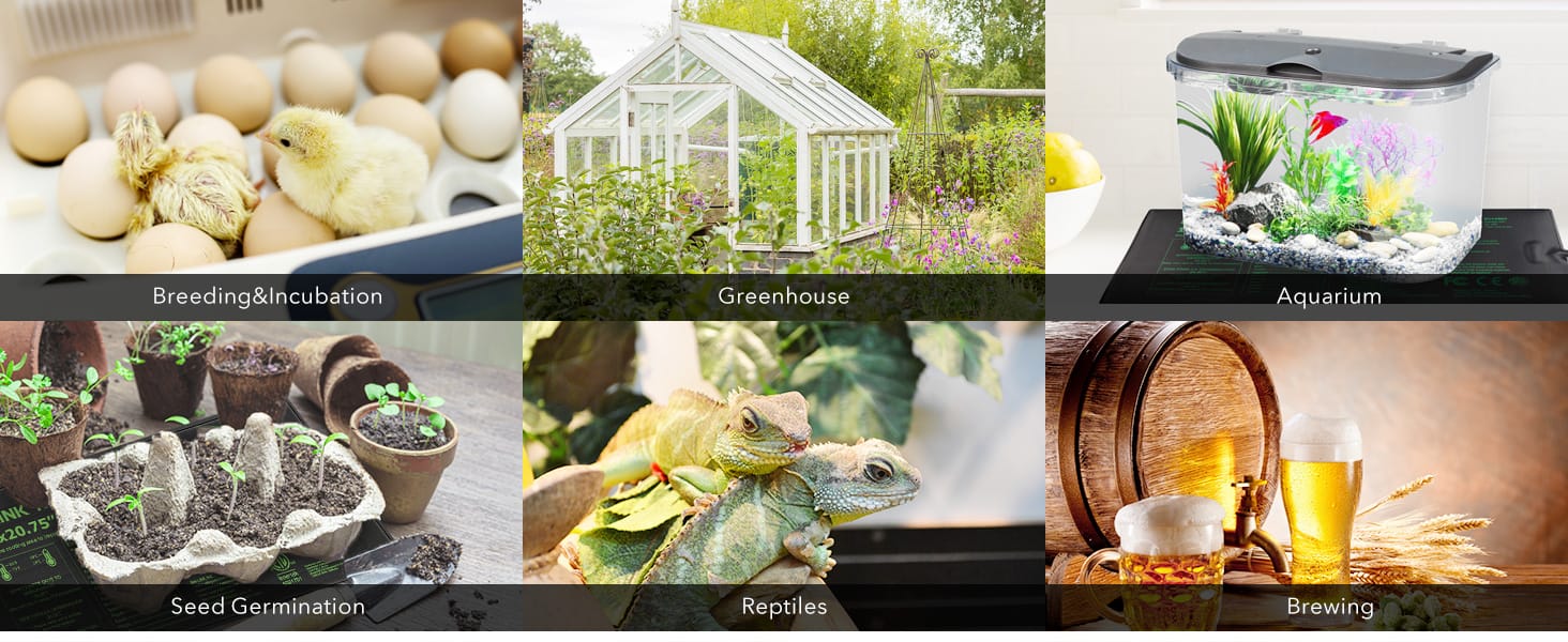 thermostat for reptiles