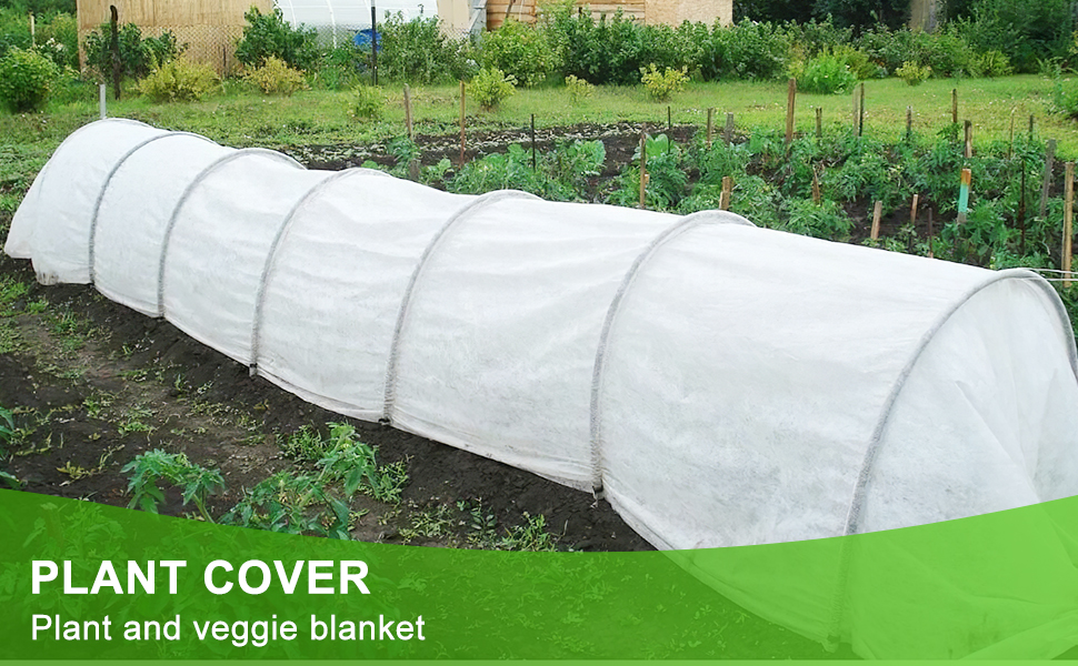 plant cover