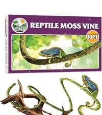 reptiles
