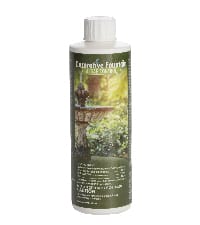 Decorative Fountain Algae Control 16oz