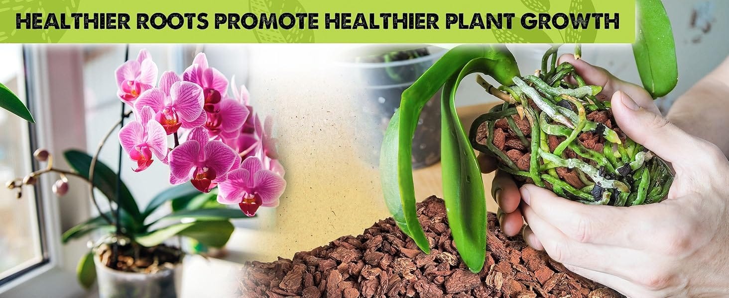 pine bark for plants