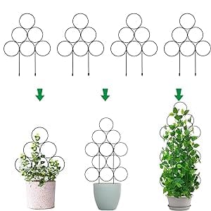 small plant trellis