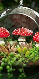 mushrooms for garden