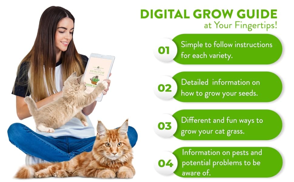 growing guide for cat grass seeds, kitty cat seeds pack, seeds pack, cat seeds, cat food, cat plant